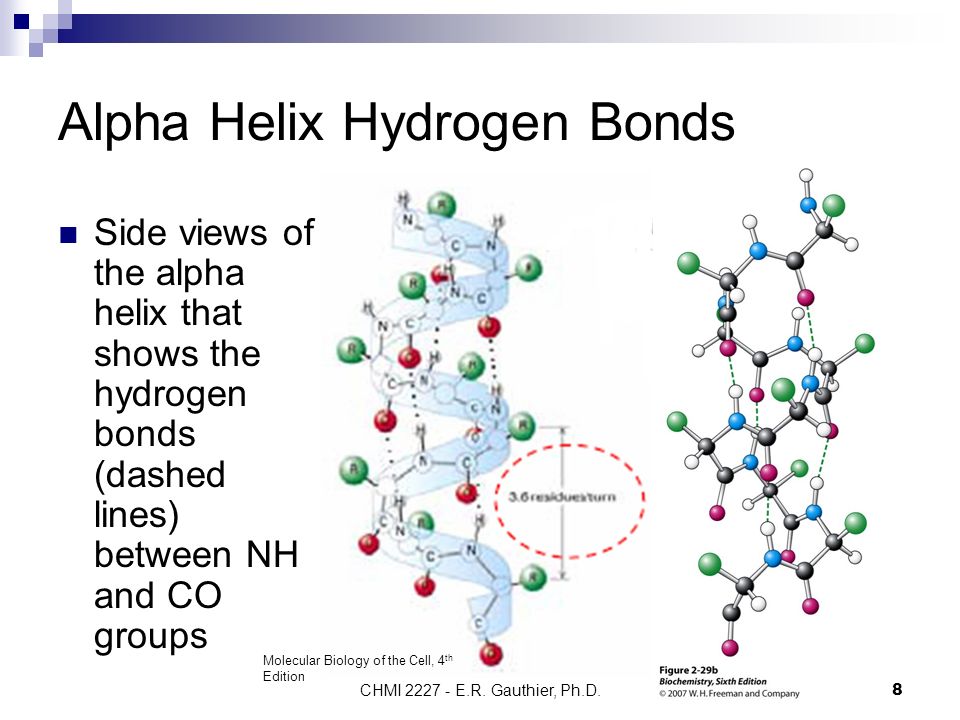 Alpha helix and clearance beta sheet ppt